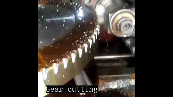 DIN3972 HSS Module Gear Milling Cutters Custom M1 M1.5 M2 M2.5 M3 M4 M5 M6 M8 M10 PA20 Degrees CNC Involute Gear Milling Cutter